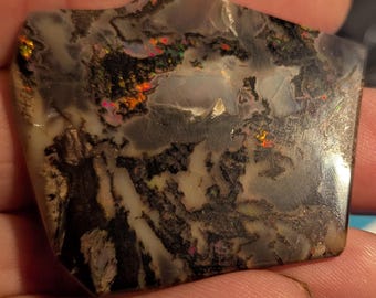 Virgin Valley Nevada Wood Opal - 62 Ct. - Rare Stones - Bonanza Mine