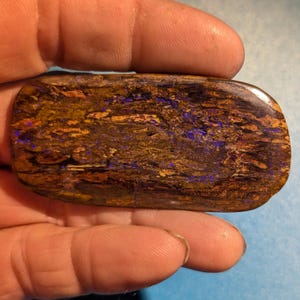 184 Ct, Koroit Boulder Wood Opal Specimen  - 70mm  = 2 3/4&quot;&quot; Across