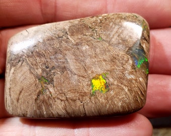 113 Ct. Virgin Valley Nevada Wood Opal - 49 x 34 mm