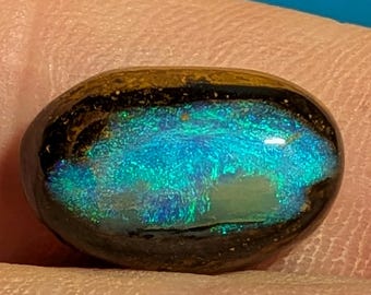 Boulder Opal - 9 Ct.  Koroit, Australia - Aqua Colors