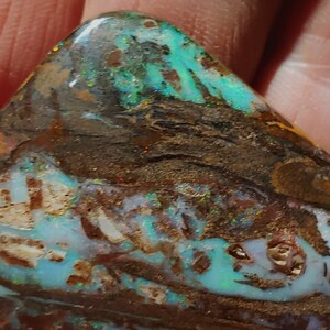 221 Ct, Koroit Boulder Wood Opal Specimen  - 2 1/2&quot; Across