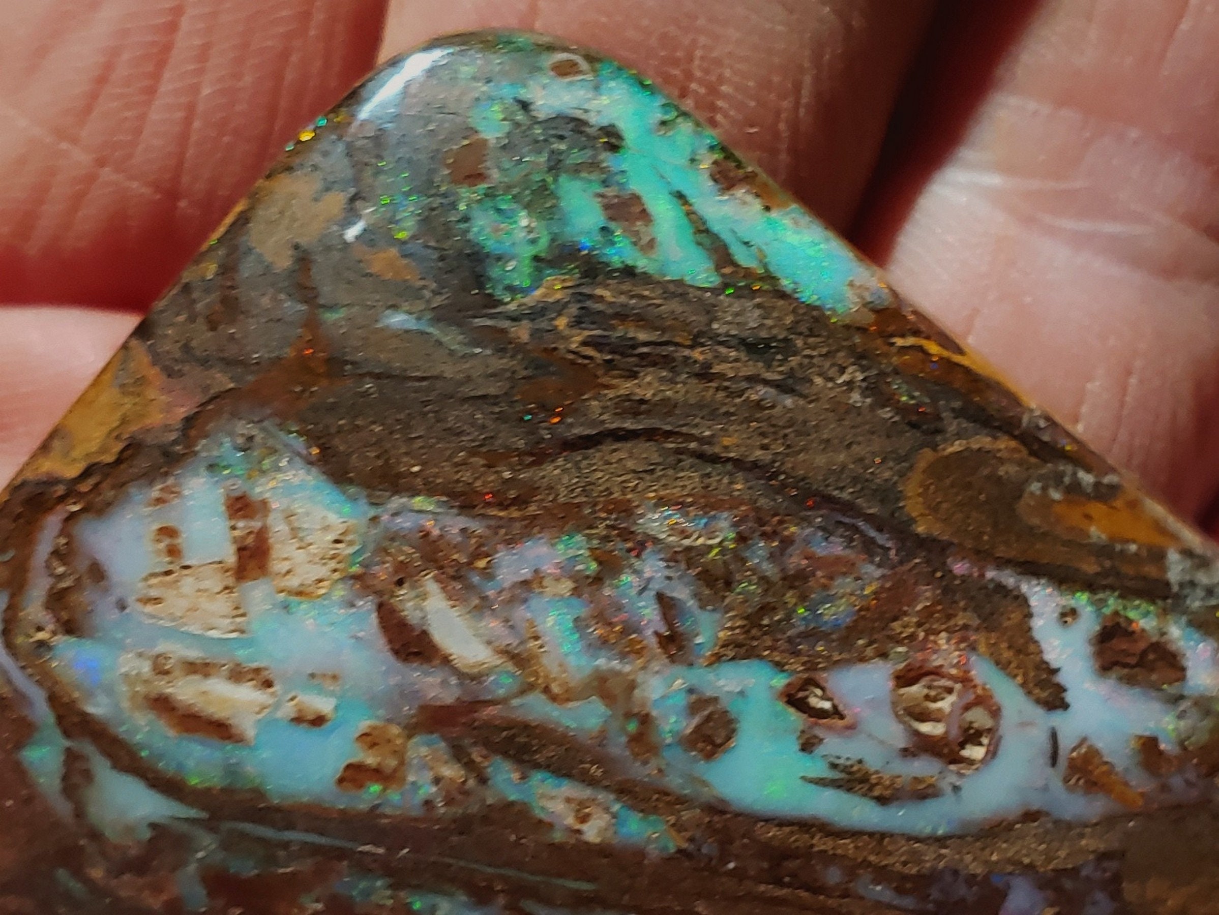 221 Ct, Koroit Boulder Wood Opal Specimen - 2 1/2" Across