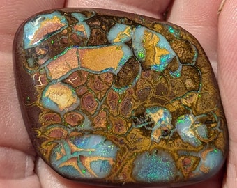 Boulder Opal - 100 Ct.  Koroit, Australia - 44 x 33 mm