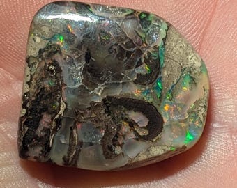 Virgin Valley Nevada Wood Opal - 32.6 Ct. - Rare Stones - Bonanza Mine