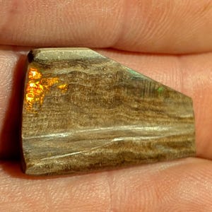 May include: A polished, rectangular gemstone with a layered, wood-grain appearance. The stone features a mix of brown, tan, and gold hues, with a flash of iridescent color on one edge. The gemstone is likely a unique piece of jewelry.