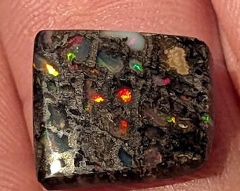 Virgin Valley Nevada Conk Wood Opal - 5.5 Ct.- Double Sided - Bonanza Mine - Rare Material