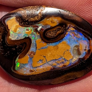 Boulder Opal - 39.5 Ct. - 32 x 23 mm - Centered Nut - Yowah, Australia
