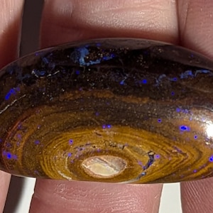 Boulder Matrix Opal - 65.8 Ct. - 39 x 19.6 mm - Yowah, Australia