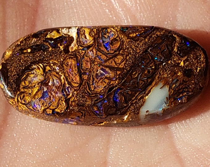 15.9 Ct. Boulder Opal - 25.5 x 12.2 mm - Australian - Koroit - Natural