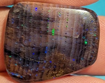 Virgin Valley Nevada Conk Wood Opal - 25.8 Ct. - Bonanza Mine - Rare Material