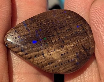 Virgin Valley Nevada Conk Wood Opal - 20.6 Ct.- Double Sided - Bonanza Mine - Rare Material