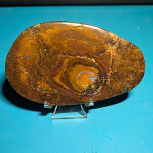 Koroit Boulder Matrix Opal Specimen - 134 Grams - 670 Ct. - 4 1/2&quot; x  2 3/4&quot; Across - Sliced Nut