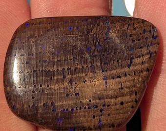 Virgin Valley Nevada Conk Wood Opal - 29 Ct.- Double Sided - Bonanza Mine - Rare Material