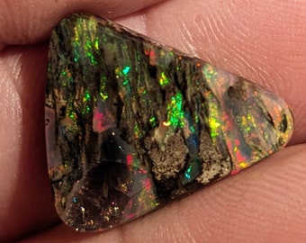 Virgin Valley Nevada Wood Opal - 8.6 Ct.- Rare Material