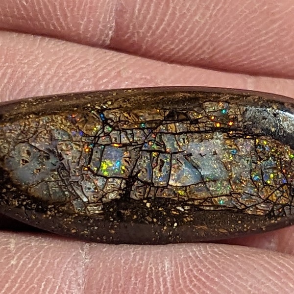 Boulder Opal Wood Replacement - 27 Ct - Australian - Yowah - Koroit - Natural