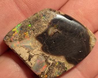Virgin Valley Nevada Wood Opal - 29 Ct. - Rare Stones - Bonanza Mine