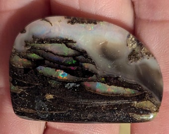 Virgin Valley Nevada Wood Opal - 28.7 Ct.- Rare Material