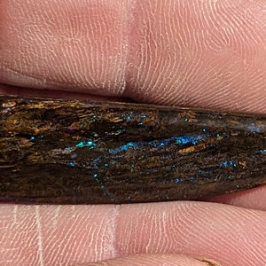 Boulder Opal Wood Replacement - 31 Ct. - Australian - Yowah - Koroit - Natural