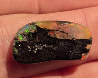 Virgin Valley Nevada Wood Opal - 9.7 Ct.- Color On Both Sides - Rare Material