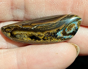 Boulder Matrix Opal - 25 Ct.  Koroit, Australia