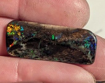 Virgin Valley Nevada Wood Opal - 11.4 Ct.- Rare Material