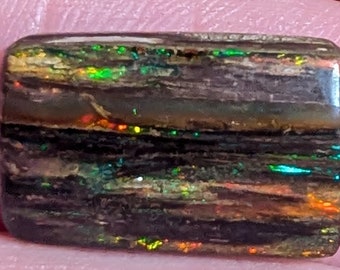 Virgin Valley Nevada Conk Wood Opal - 7 Ct.- Rare Material