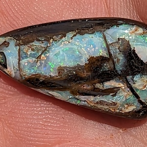 15 Ct. Boulder Opal Wood Replacement - 26 x 14.4 mm - Australian - Yowah - Koroit - Natural