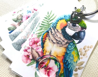 Tropical Birds Floss  Drops - Pack of 24