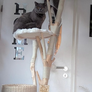 Peut inclure: Un arbre à chat à plusieurs niveaux avec trois chats. L'arbre est fait de bois naturel, de plateformes tressées et de poteaux recouverts de corde. Les chats sont gris et blancs, et l'un porte un collier.