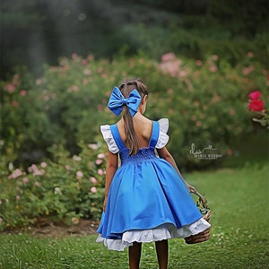 Belle Everyday Blue Provincial Dress with built in underskirt image 6