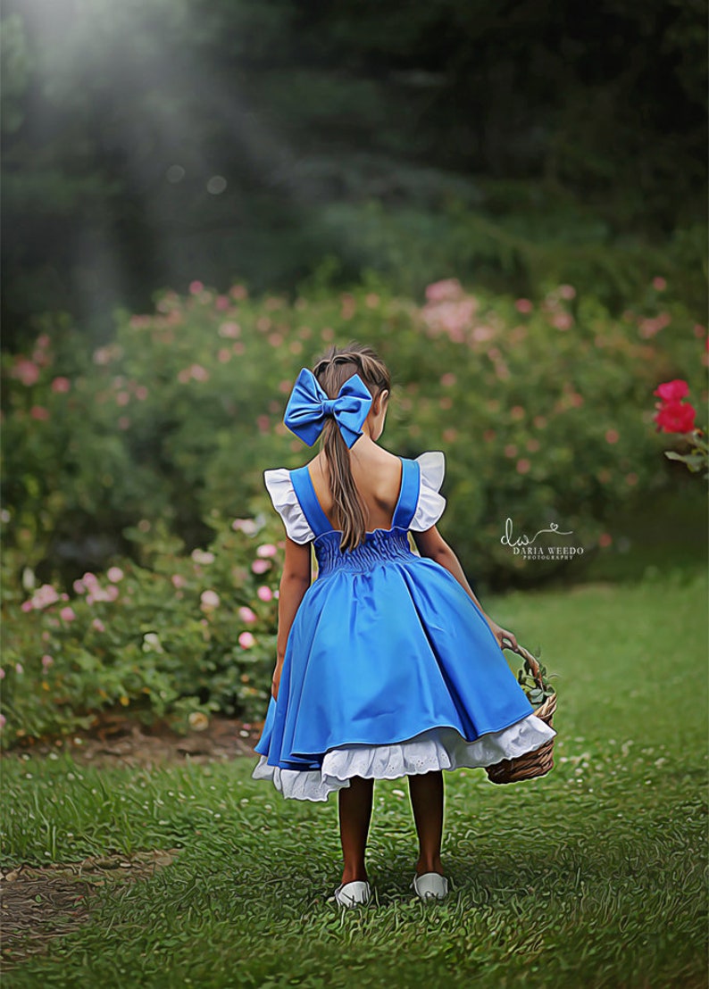 Belle Everyday Blue Provincial Dress with built in underskirt image 6