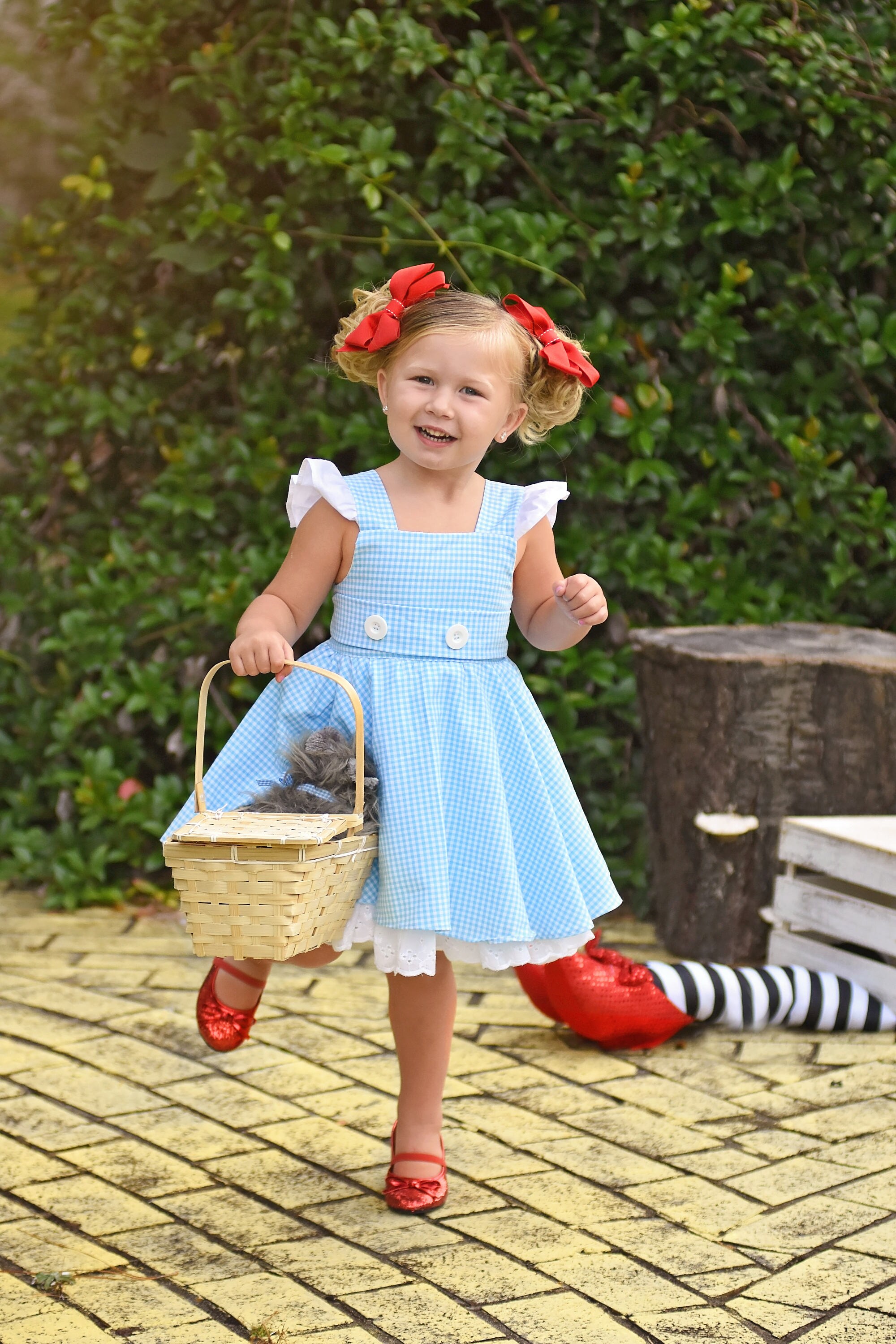 ワンピース HUECLOSET Dorothy Dot Short Sleeve Dress Dorothy Wizard of Oz Dress With Built-in Underskirt - Etsy