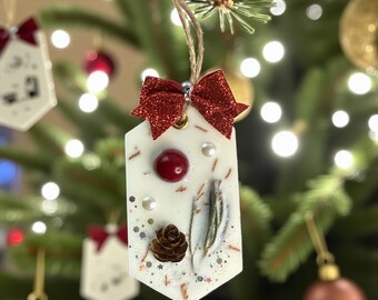 Holly Berry | Winter Mint Fragrance | Scented Wax Sachet Ornament | Gift