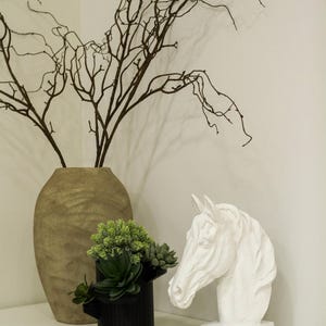 Puede incluir: Una composición decorativa con un jarrón beige texturizado grande con ramas oscuras, una maceta negra con suculentas verdes y una escultura de cabeza de caballo blanca. Dispuesto sobre una superficie blanca contra una pared neutra.