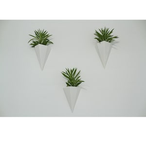 May include: Three white, geometric wall planters, each holding a vibrant green succulent plant. The planters are cone-shaped with a modern, minimalist design. The plants add a touch of nature to the white wall.