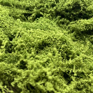 Op de afbeelding: Close-up van een levendig groen, getextureerd materiaal. Het oppervlak is dicht bezaaid met kleine, onregelmatige vormen, waardoor een zachte, organische uitstraling ontstaat. De kleur is een helder, levendig groen, dat doet denken aan vers gebladerte.