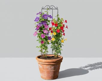 Black Metal Trellis Plant Support Frame for Garden Pots indoor outdoor