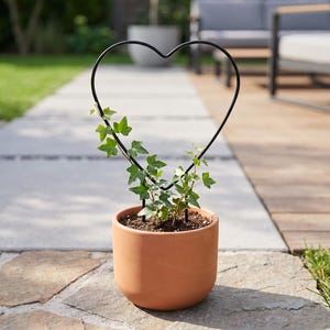 May include: A terracotta-colored plant pot with a black metal heart-shaped trellis. Green ivy is growing in the pot. The pot is sitting on a stone walkway, with a background of grass and outdoor furniture.