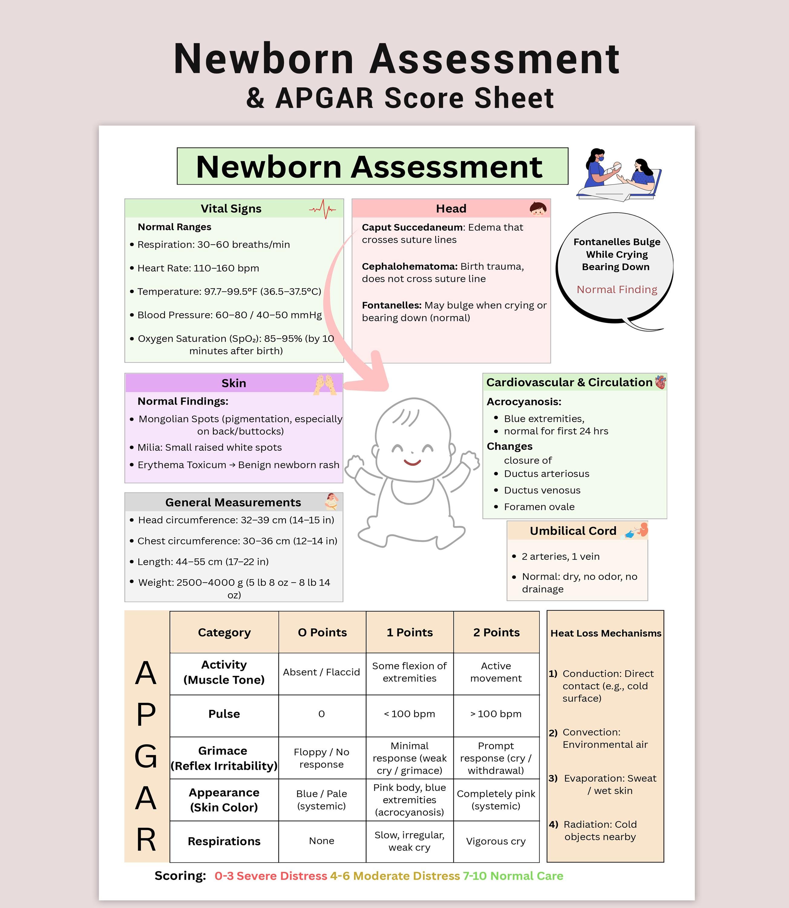 NICU Nursing Newborn Assessment PDF | Vital Signs Ranges + APGAR ...
