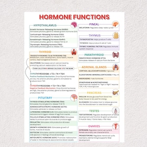 May include: An educational infographic detailing "Hormone Functions". It features sections on the hypothalamus, thyroid, pituitary, pineal, thymus, parathyroid, adrenal glands, pancreas, testes, and ovaries, with hormone details and diagrams.