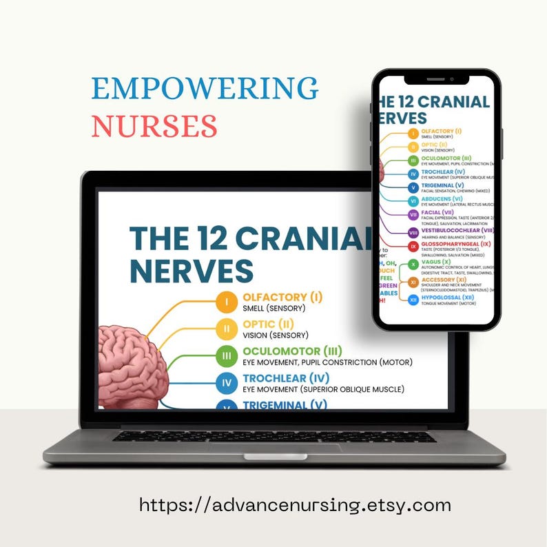 May include: A laptop and smartphone display educational content about the 12 cranial nerves. The laptop screen shows a brain diagram and nerve names. The smartphone shows a list of the cranial nerves. The text "Empowering Nurses" is at the top.