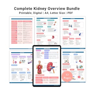 May include: A digital bundle titled "Complete Kidney Overview" with educational diagrams and charts. The bundle includes 13 pages of printable content, displayed on a tablet and several printed sheets. The design features a pink, blue, and white colour scheme.