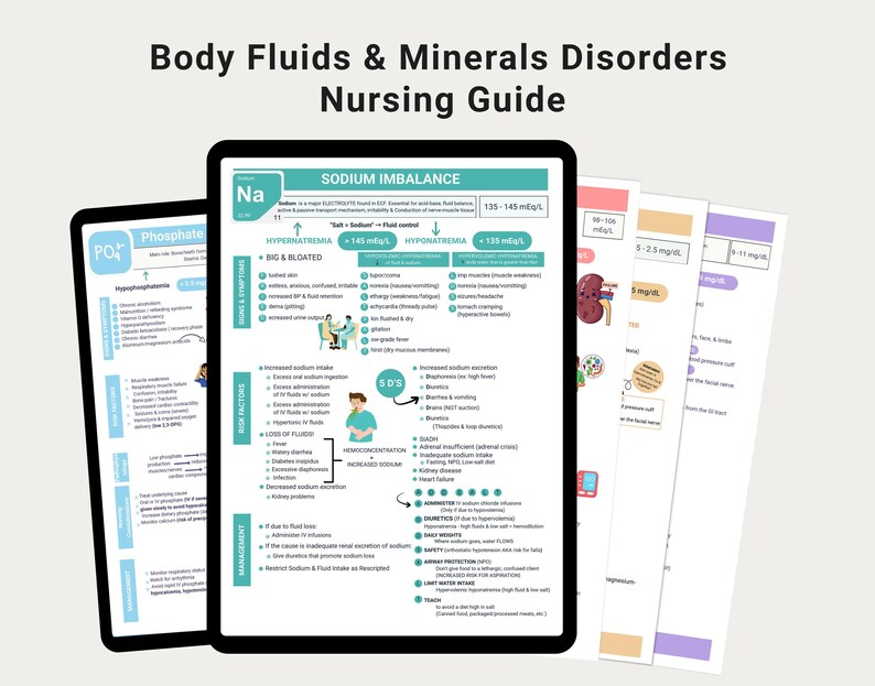 Electrolyte Imbalances Study Guide PDF - Etsy