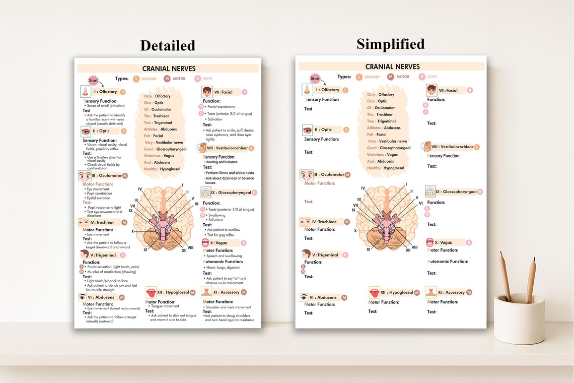Cranial Nerves Assessment Printable | Nursing Nerve Study Guide Chart ...