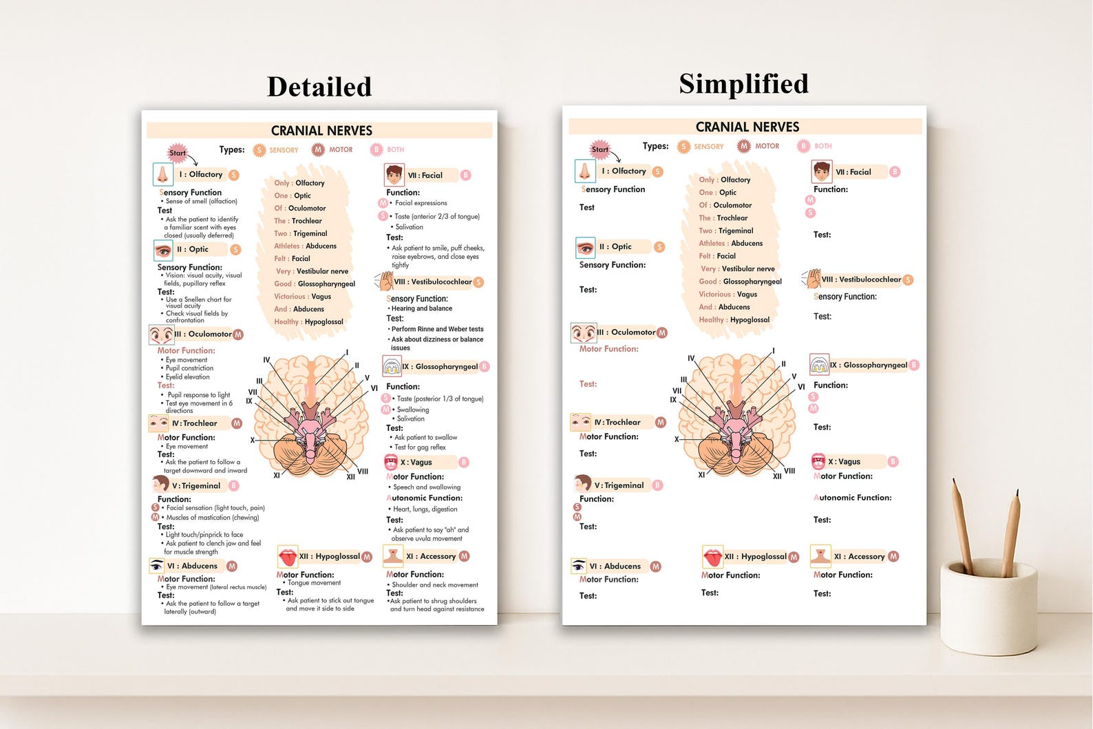 Cranial Nerves Assessment Printable | Nursing Nerve Study Guide Chart ...