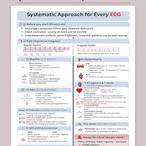 Peut inclure: Un guide d'interprétation ECG intitulé "Systematic ECG Interpretation Guide". Le guide présente des informations sur l'interprétation de l'ECG, couvrant des sujets tels que la fréquence, le rythme, l'axe, les intervalles, la largeur QRS, l'hypertrophie, le segment ST, les ondes T et les ondes Q.