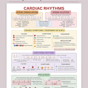 May include: A medical reference sheet titled "ECG Rhythm Interpretation Cheat Sheet" with detailed information on cardiac rhythms, including atrial fibrillation and flutter, with causes, symptoms, and treatments.