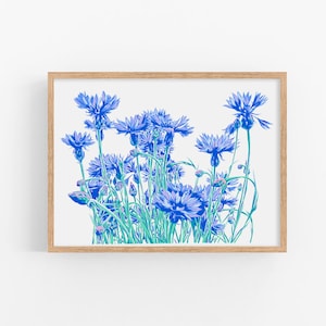 Cornflower art print Floral poster Blue flower wall art Botanical artwork Large poster Flower art print Simple colorful graphic art