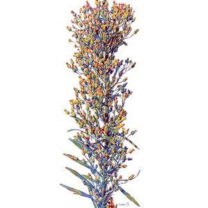 Dipinto di fiori di campo, Arte floreale originale, Arte murale botanica, Opera d'arte con fiori secchi, Decorazione di erbario con erbe dorate, 16 x 20 cm, Sopra l'arte del divano