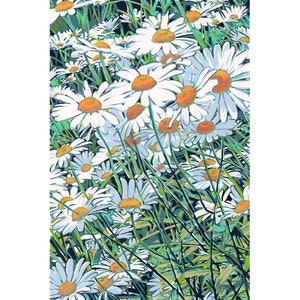 Dipinto di margherite, arte floreale originale, fiore di nascita di aprile, arte murale, opera d'arte di margherite, prato di fiori di camomilla, piccolo dipinto di Komarov, 12 x 8